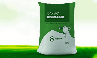 CAMPO DESMAME